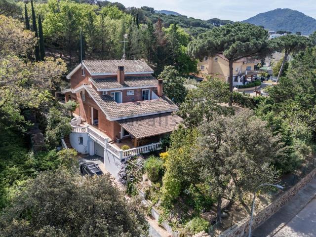Chalet, Vilanova del Vallès