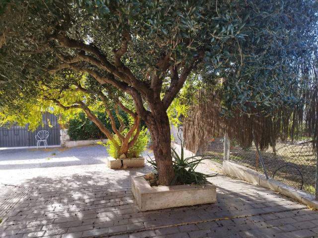 Chalet, Vilanova i la Geltrú