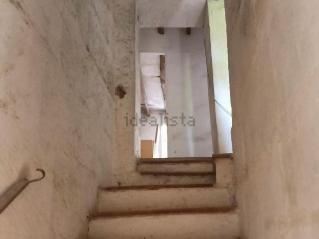 Chalet, Villafranca de Bonany