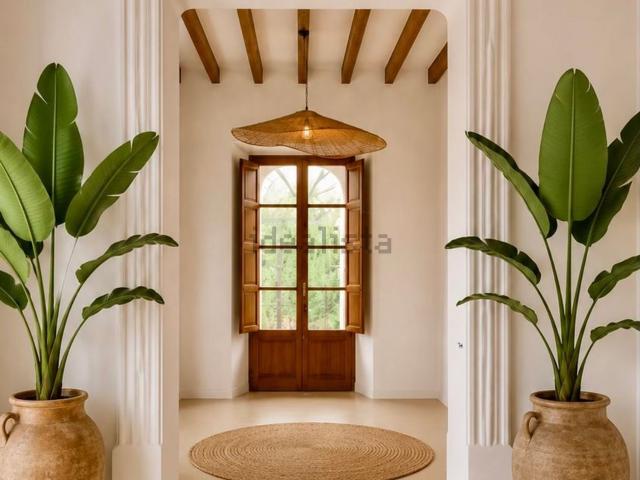 Chalet, Villafranca de Bonany