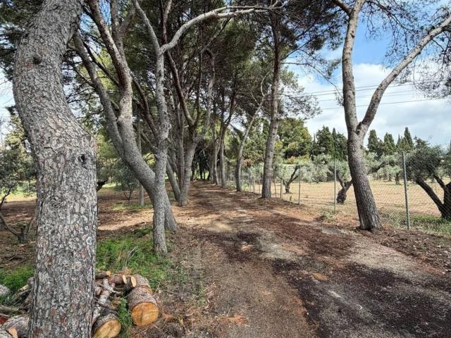 Chalet, Villafranqueza, Alicante / Alacant