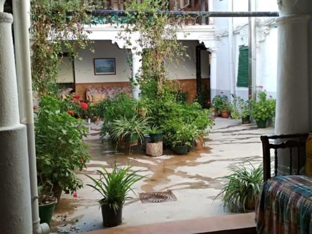Chalet, Villanueva de los Infantes