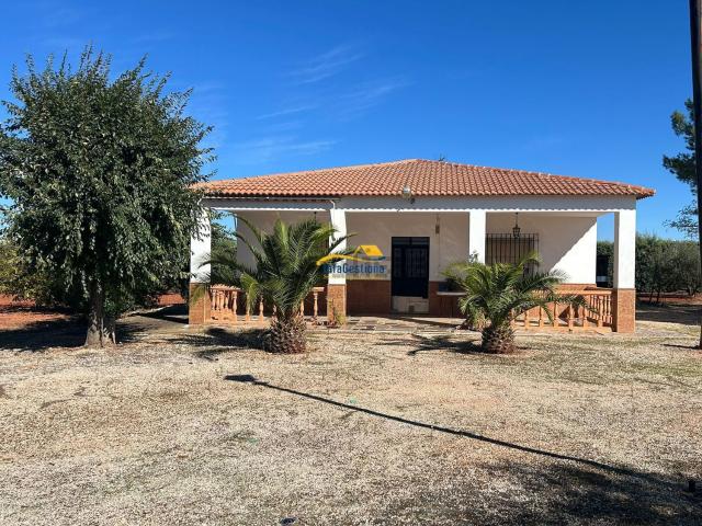 Chalet, Villanueva de los Infantes