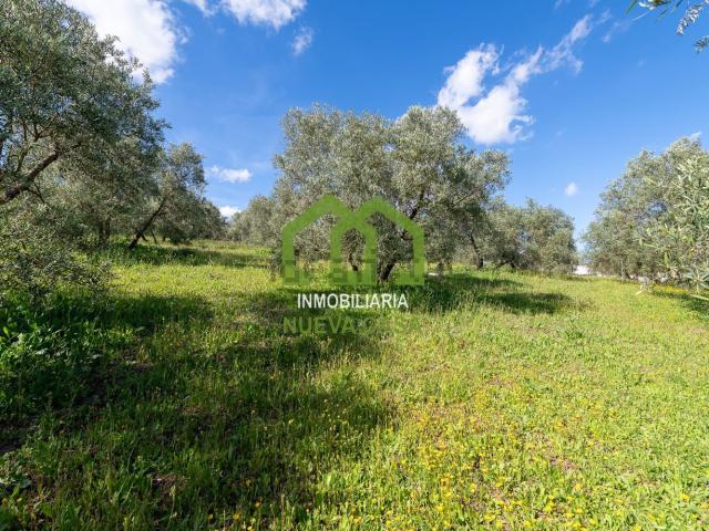 Chalet, Villanueva del Trabuco