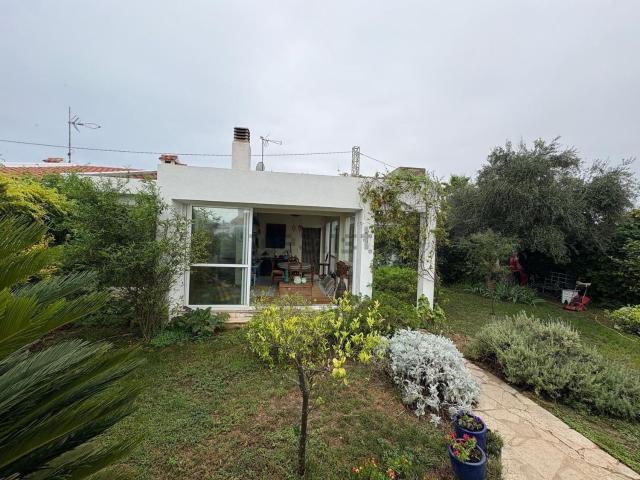 Chalet, Vinarós