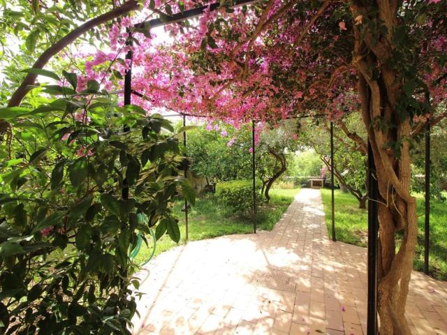 Chalet, Zona Colegios Son Moix, Palma de Mallorca