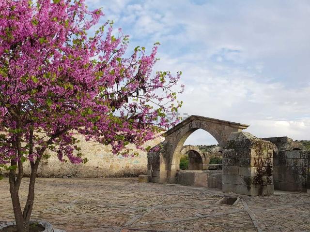Chalet, Zarza la Mayor