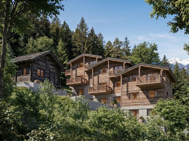 Chalets mitoyens neufs  Les Granges sur Salvan
