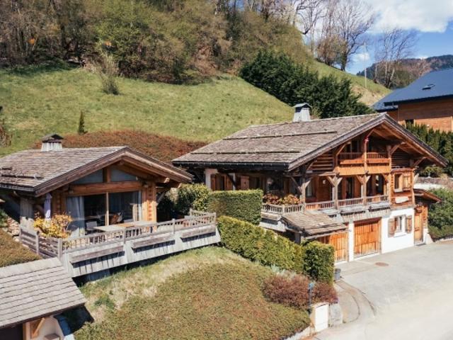 Chalets Vue montagnes & fort potentiel locatif