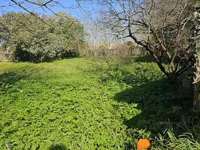 Challans 85300 Achat / Vente terrain