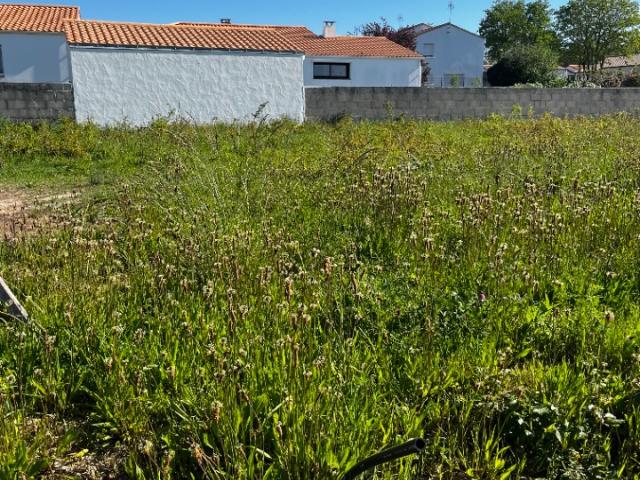 Challans Vente Terrain 85