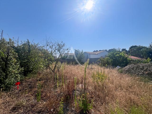 Challans Vente Terrain 85