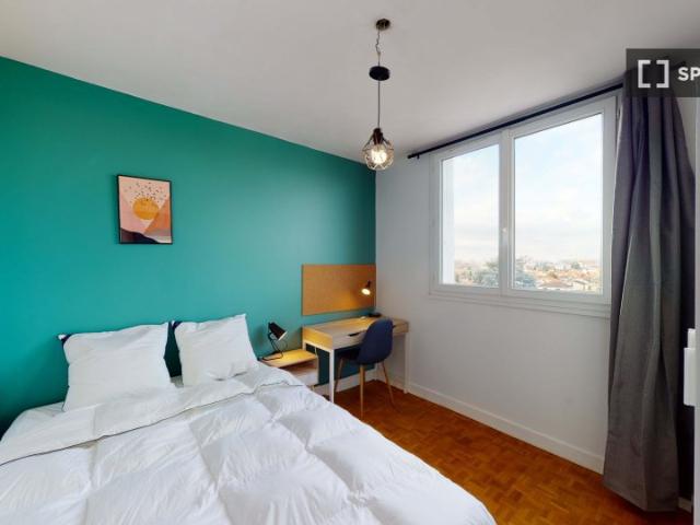 Chambre à louer dans un appartement de 12 lits, Rangueil Sauzelong