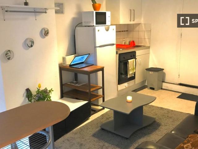 Chambre à louer dans un appartement 2 chambres à Perrache, Lyon