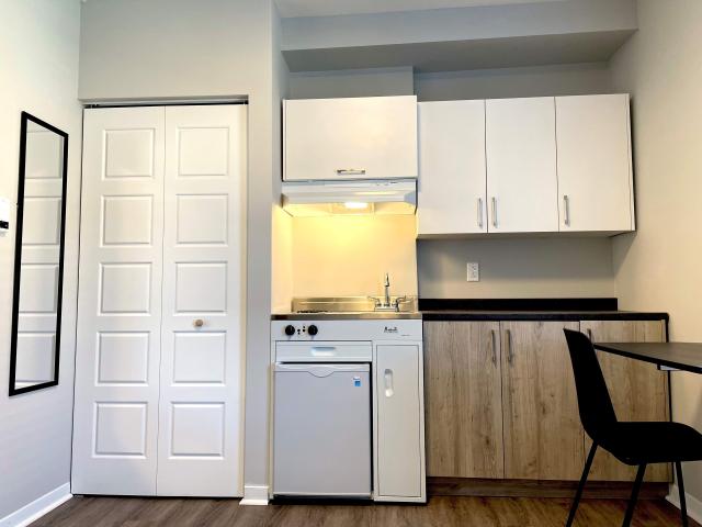 Chambre à Louer et Colocation 3143 Rue Holt Montréal, Rosemont/La Petite Patrie Montréal 4 photos | Logis Québec