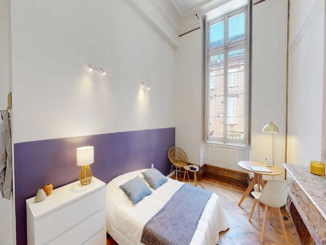 Chambre à Toulouse Rue Peyras, Capitole