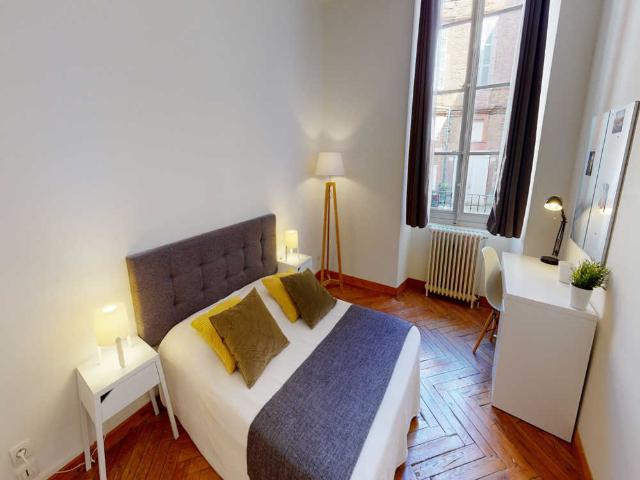 Chambre à Toulouse Rue Peyras, Capitole