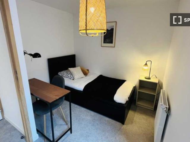 Chambre dans colocation, Caluire et Cuire, Lyon
