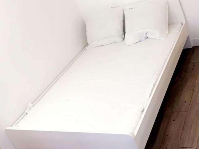Chambre dans un appartement de 3 chambres à Paris