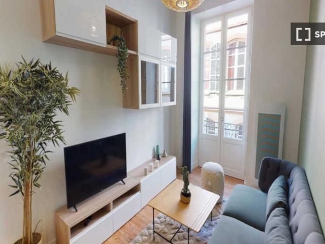Chambre dans un appartement partagé de 5 chambres à Capitole, Toulouse