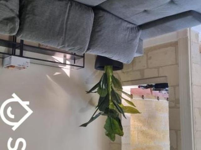 Chambre dans une colocation de 10m2