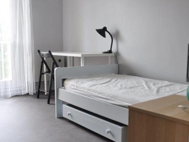 Chambre dans une colocation de 10m2