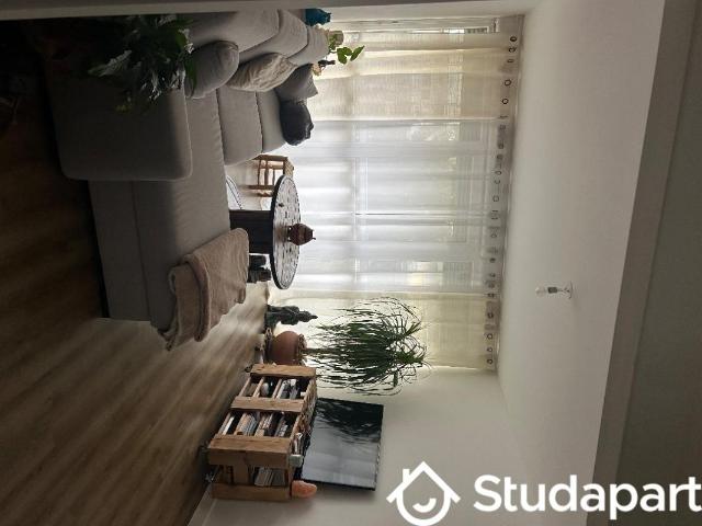Chambre dans une colocation de 10m2