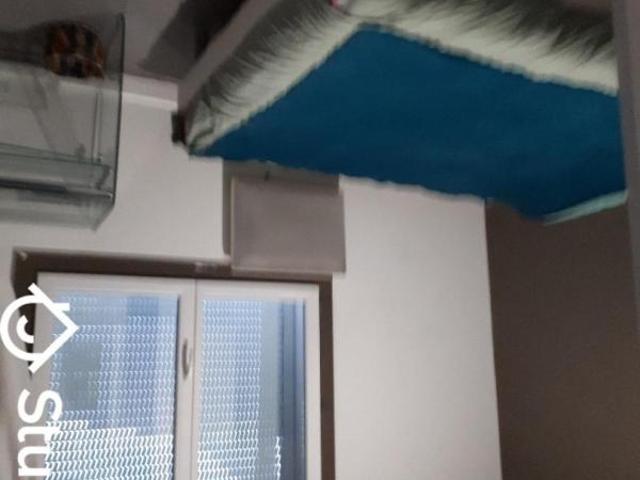 Chambre dans une colocation de 10m2