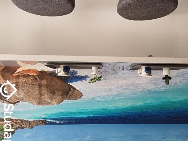 Chambre dans une colocation de 11m2