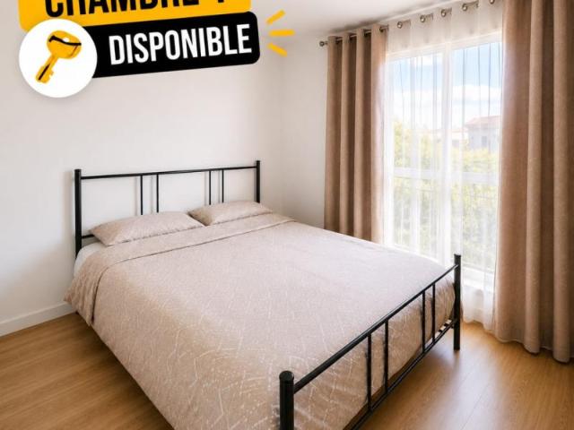 Chambre dans une colocation de 12m2