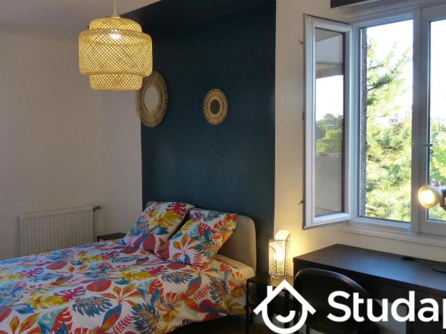 Chambre dans une colocation de 12m2