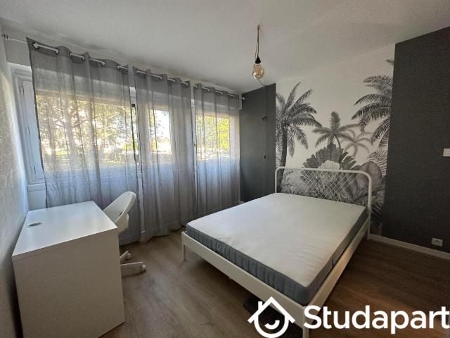 Chambre dans une colocation de 12m2