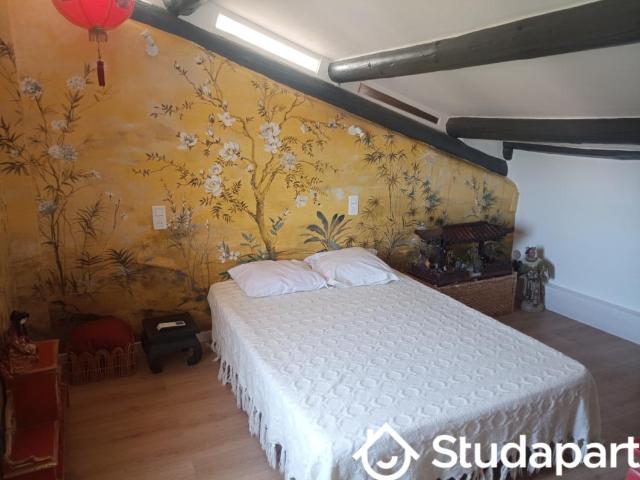 Chambre dans une colocation de 12m2