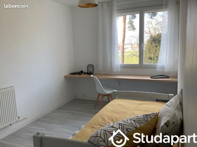 Chambre dans une colocation de 12m2