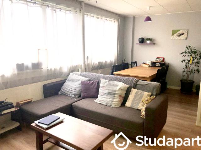 Chambre dans une colocation de 14m2