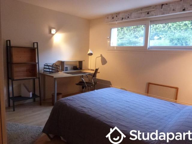 Chambre dans une colocation de 15m2