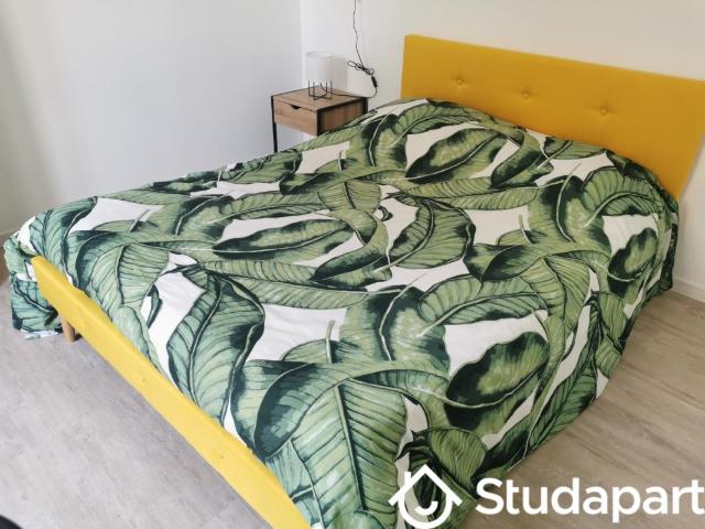 Chambre dans une colocation de 15m2