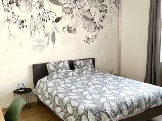 Chambre dans une colocation de 15m2
