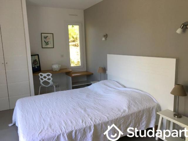 Chambre dans une colocation de 15m2