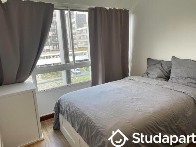 Chambre dans une colocation de 15m2