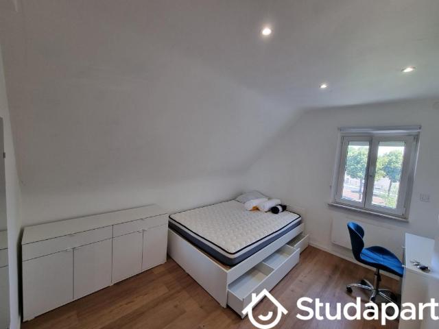 Chambre dans une colocation de 20m2