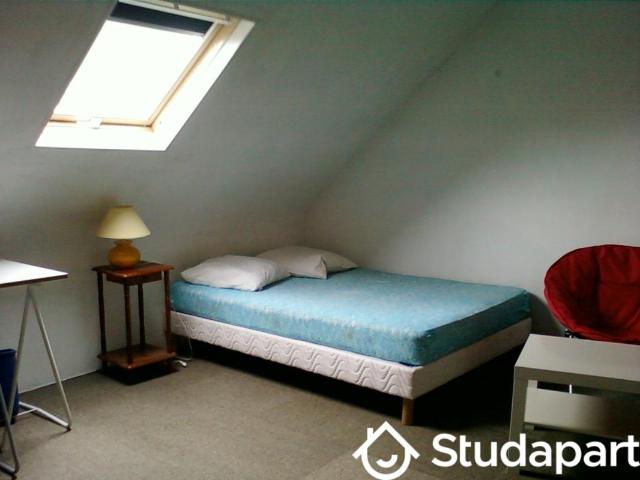 Chambre dans une colocation de 20m2