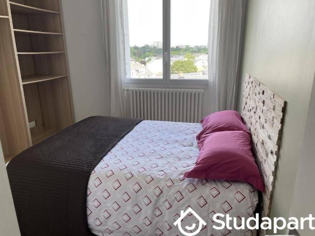 Chambre dans une colocation de 31m2