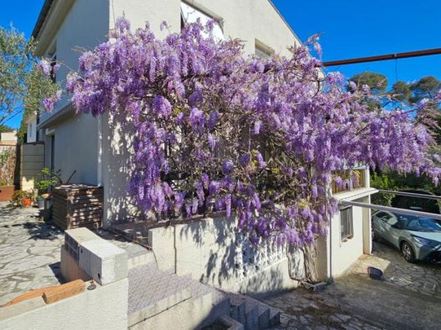 Chambre de 15m2 à louer sur Montpellier