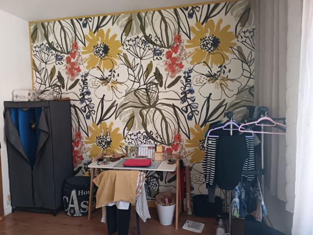 Chambre de 17m2 à louer sur Roubaix