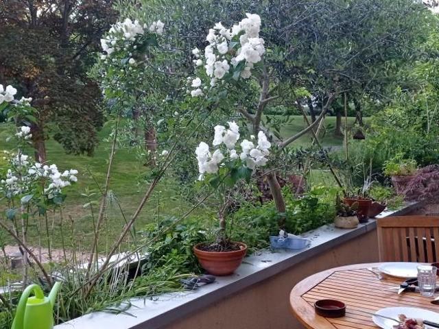 Chambre de 19m2 à louer sur Verrières le Buisson
