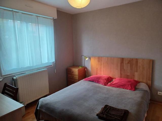 Chambre de 25m2 à louer sur Toulouse