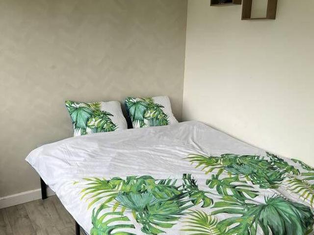 Chambre en colocation