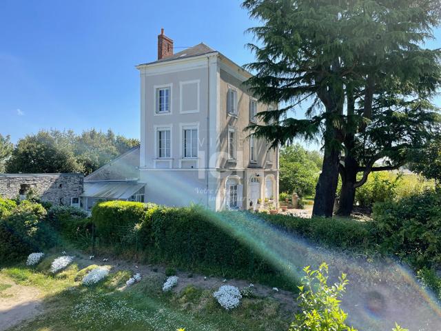 Chambre Sainte Gemmes Sur Loire