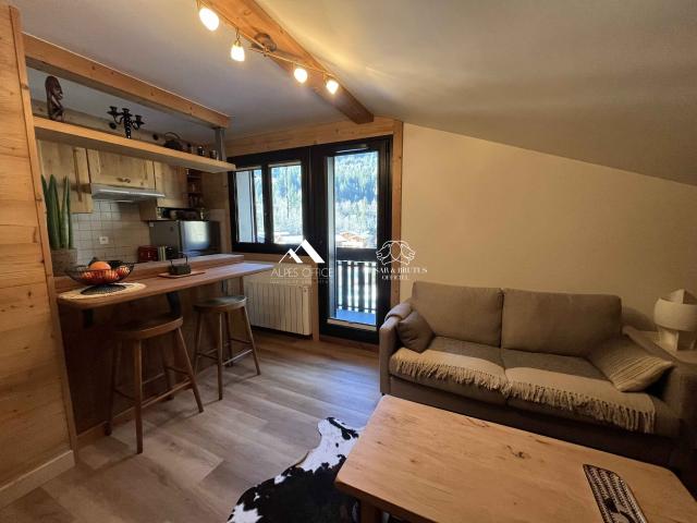 Chamonix Mont Blanc Vente Appartement 74